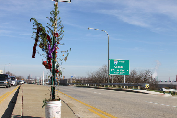 2011 Christmas Weed